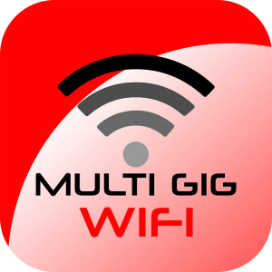 Multi GIG Router